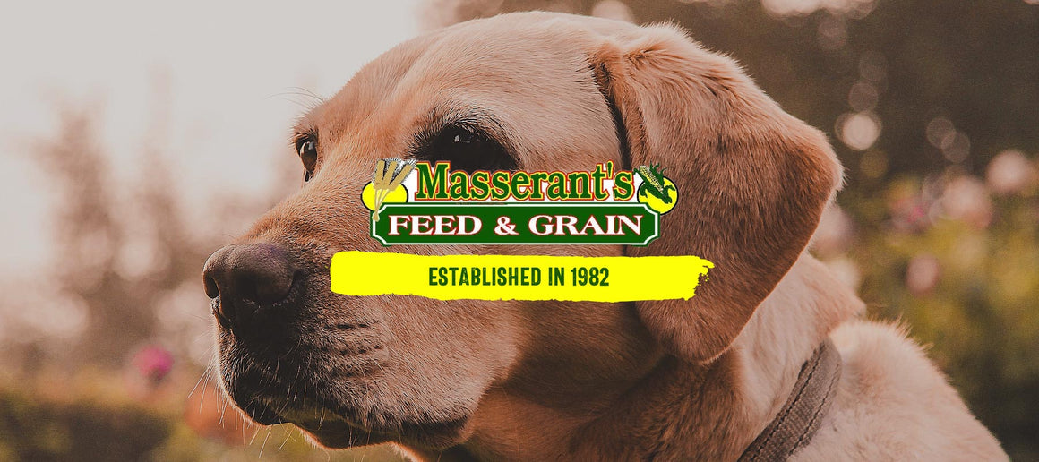 Animal Feed Store Lambertville, MI Masserants Feed & Grain